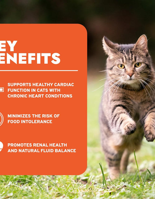 Load image into Gallery viewer, Wet Cat Food Kidney RENAL ACTIWET with Lamb 3.5Oz, Adult Cat Food Wet, Renal Support Canned Cat Food
