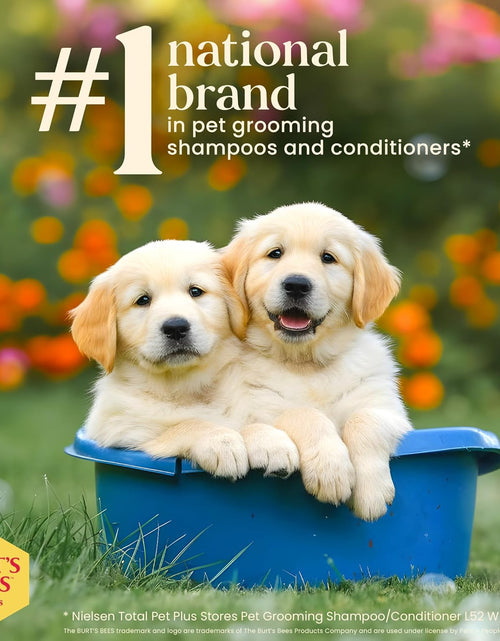 Load image into Gallery viewer, Puppies Natural Tearless 2 in 1 Shampoo and Conditioner | Made with Buttermilk and Linseed Oil | Best Tearless Puppy Shampoo for Gentle Skin and Coat | Made in USA, 16 Oz

