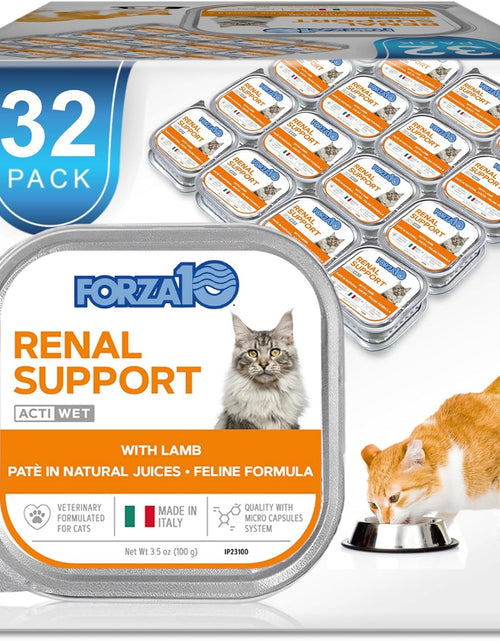 Load image into Gallery viewer, Wet Cat Food Kidney RENAL ACTIWET with Lamb 3.5Oz, Adult Cat Food Wet, Renal Support Canned Cat Food
