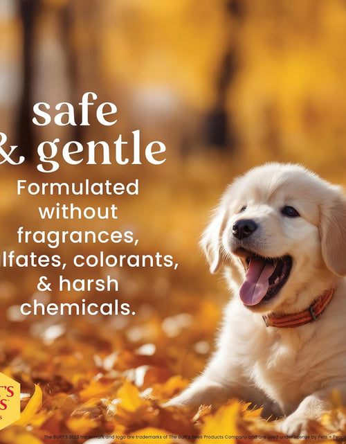 Load image into Gallery viewer, Puppies Natural Tearless 2 in 1 Shampoo and Conditioner | Made with Buttermilk and Linseed Oil | Best Tearless Puppy Shampoo for Gentle Skin and Coat | Made in USA, 16 Oz
